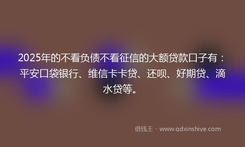 2025年的不看负债不看征信的大额贷款口子有:平安口袋银行、维信卡卡贷、还呗、好期贷、滴水贷等。