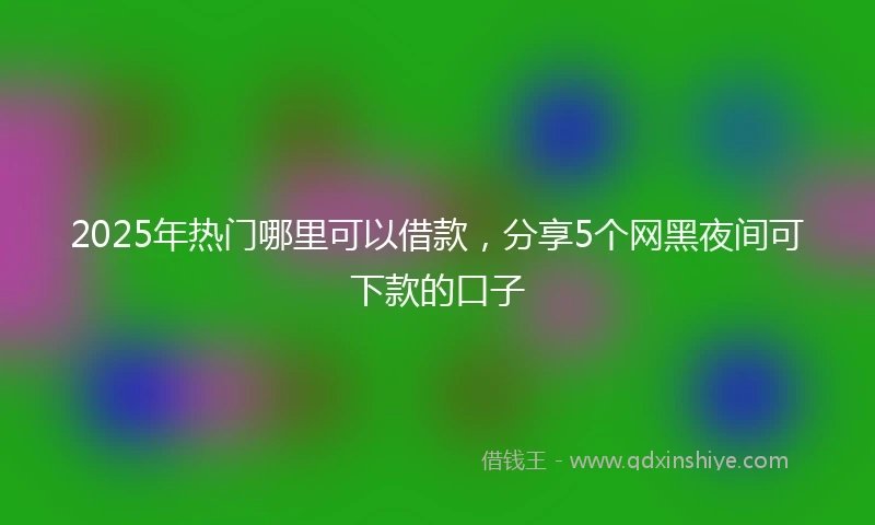 2025年热门哪里可以借款，分享5个网黑夜间可下款的口子