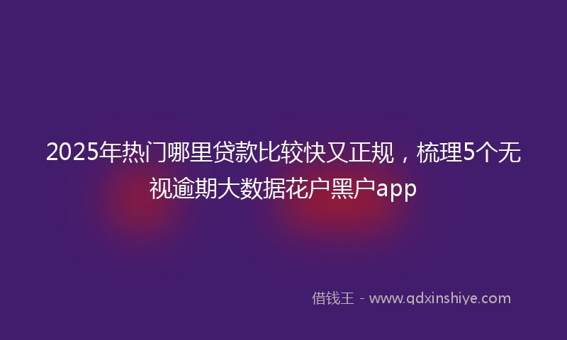 2025年热门哪里贷款比较快又正规，梳理5个无视逾期大数据花户黑户app