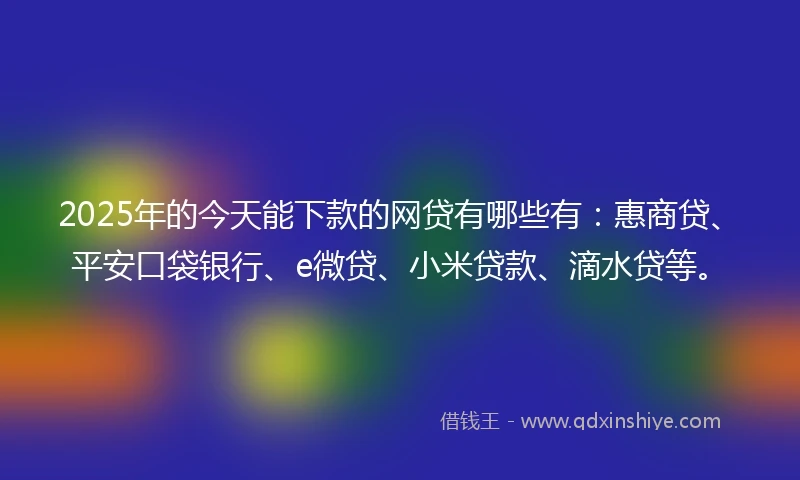 2025年的今天能下款的网贷有哪些有：惠商贷、平安口袋银行、e微贷、小米贷款、滴水贷等。