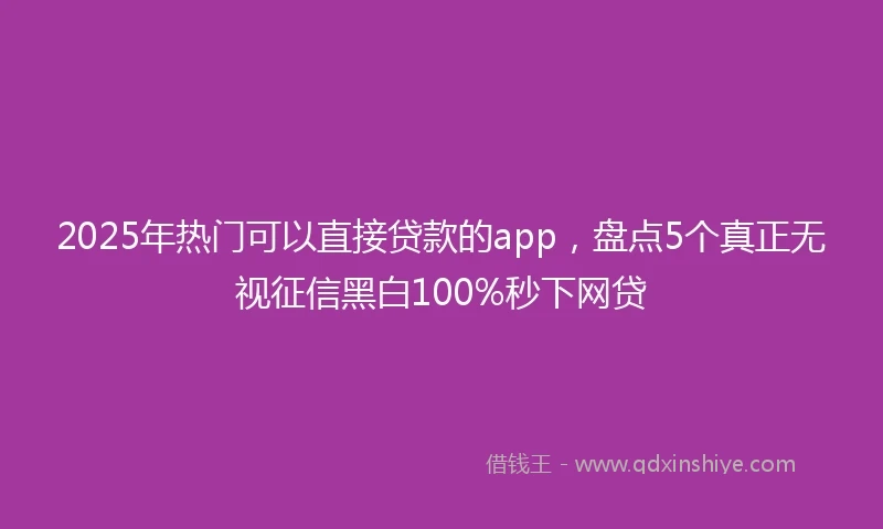 2025年热门可以直接贷款的app，盘点5个真正无视征信黑白100%秒下网贷