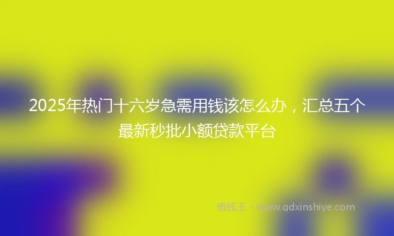 2025年热门十六岁急需用钱该怎么办，汇总五个最新秒批小额贷款平台