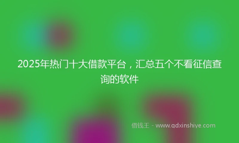 2025年热门十大借款平台，汇总五个不看征信查询的软件