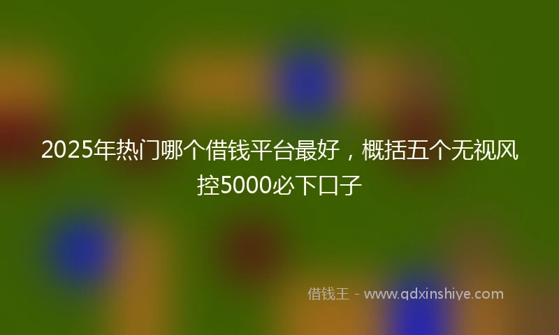 2025年热门哪个借钱平台最好,概括五个无视风控5000必下口子