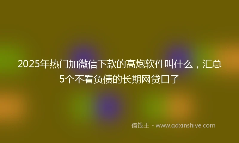2025年热门加微信下款的高炮软件叫什么，汇总5个不看负债的长期网贷口子
