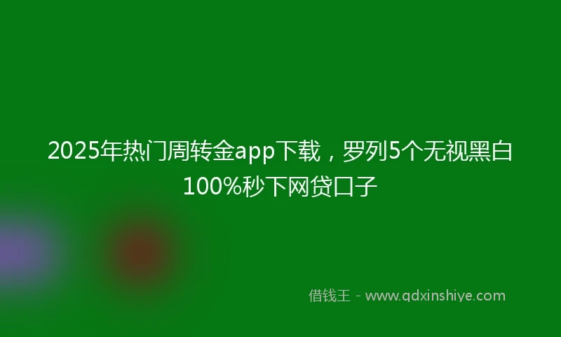 2025年热门周转金app下载，罗列5个无视黑白100%秒下网贷口子