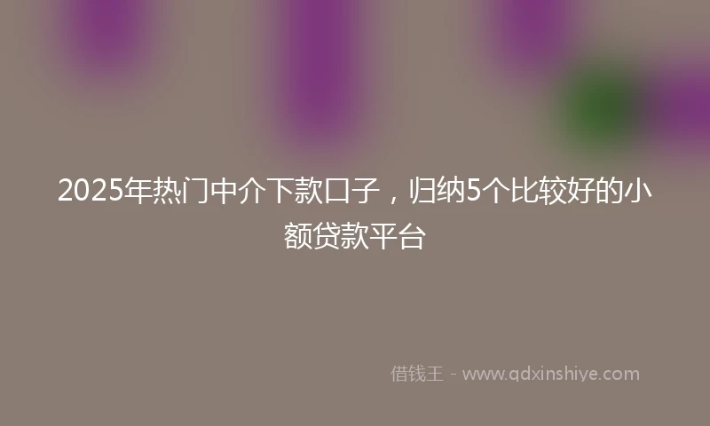 2025年热门中介下款口子，归纳5个比较好的小额贷款平台