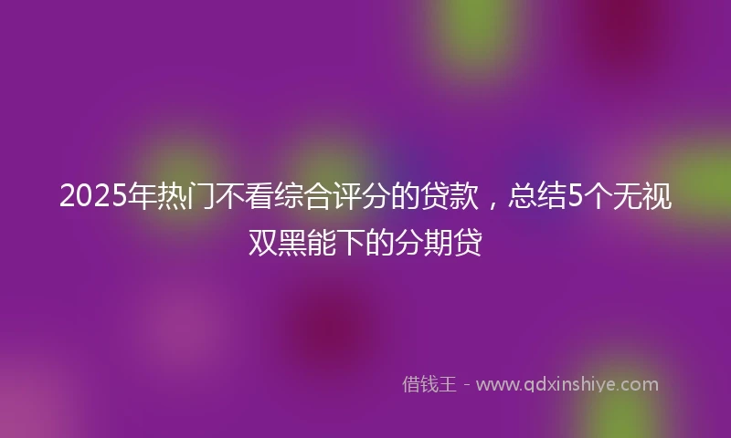 2025年热门不看综合评分的贷款，总结5个无视双黑能下的分期贷