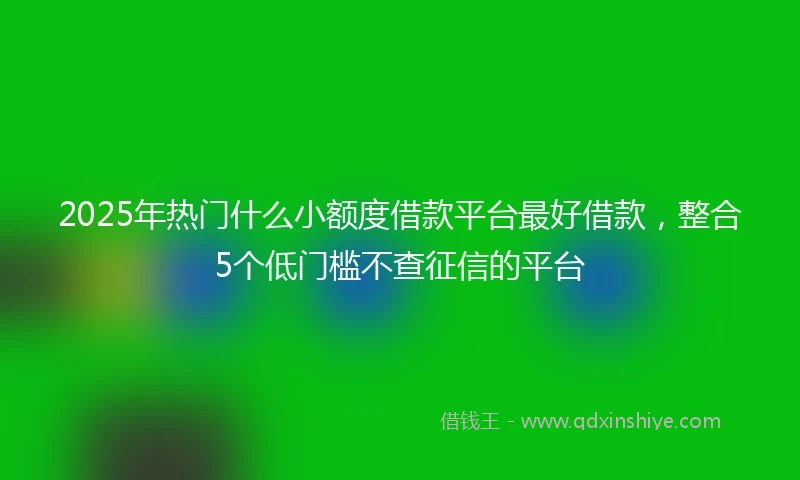 2025年热门什么小额度借款平台最好借款，整合5个低门槛不查征信的平台