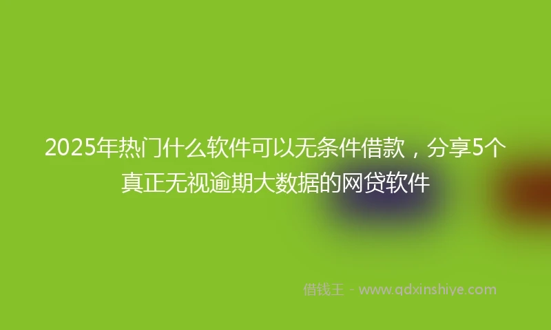 2025年热门什么软件可以无条件借款，分享5个真正无视逾期大数据的网贷软件