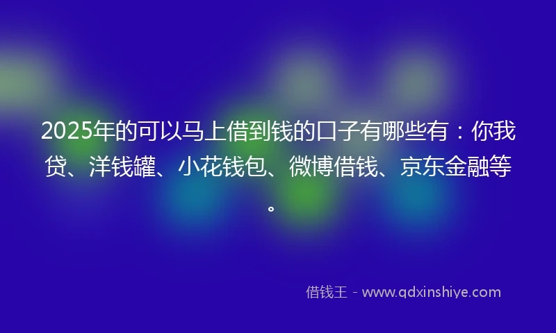 2025年的可以马上借到钱的口子有哪些有:你我贷、洋钱罐、小花钱包、微博借钱、京东金融等。