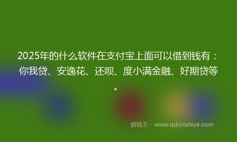 2025年的什么软件在支付宝上面可以借到钱有：你我贷、安逸花、还呗、度小满金融、好期贷等。