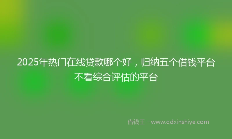 2025年热门在线贷款哪个好，归纳五个借钱平台不看综合评估的平台