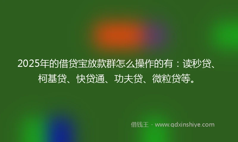 2025年的借贷宝放款群怎么操作的有：读秒贷、柯基贷、快贷通、功夫贷、微粒贷等。