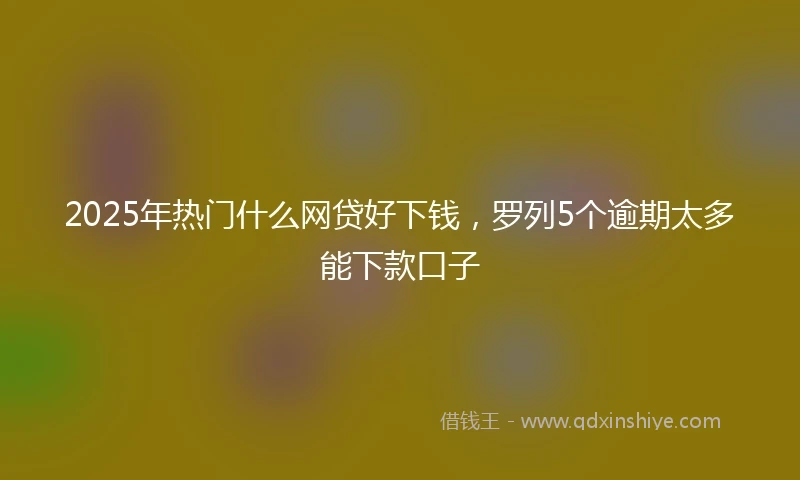 2025年热门什么网贷好下钱，罗列5个逾期太多能下款口子