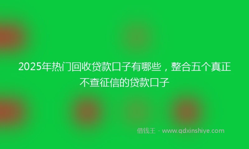 2025年热门回收贷款口子有哪些，整合五个真正不查征信的贷款口子