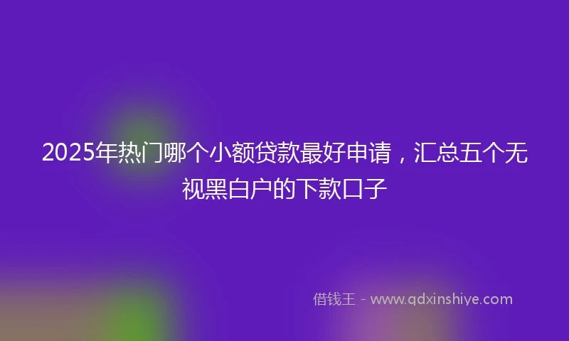 2025年热门哪个小额贷款最好申请，汇总五个无视黑白户的下款口子