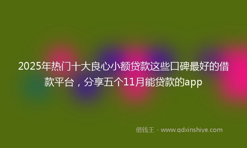 2025年热门十大良心小额贷款这些口碑最好的借款平台，分享五个11月能贷款的app