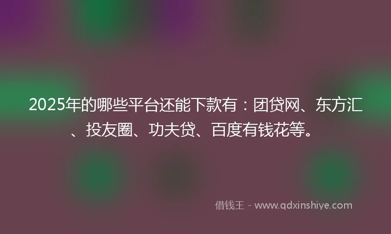 2025年的哪些平台还能下款有：团贷网、东方汇、投友圈、功夫贷、百度有钱花等。