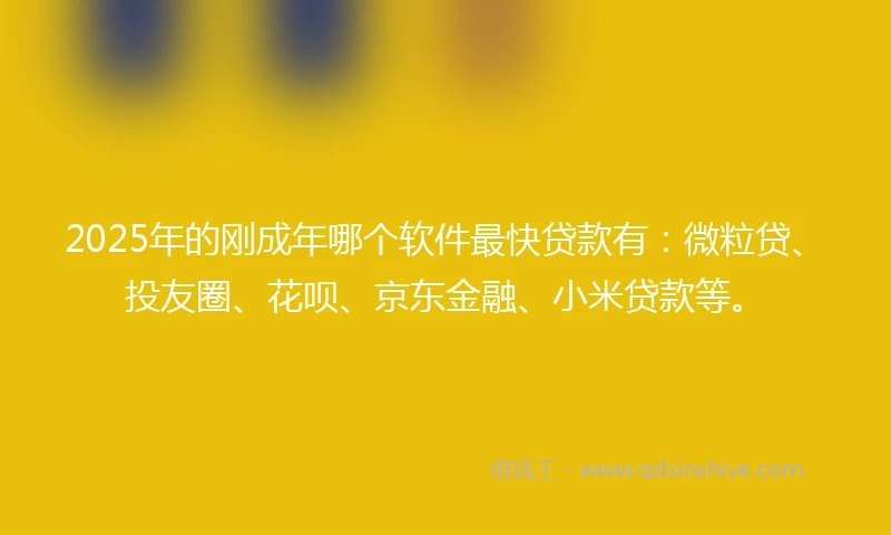 2025年的刚成年哪个软件最快贷款有：微粒贷、投友圈、花呗、京东金融、小米贷款等。