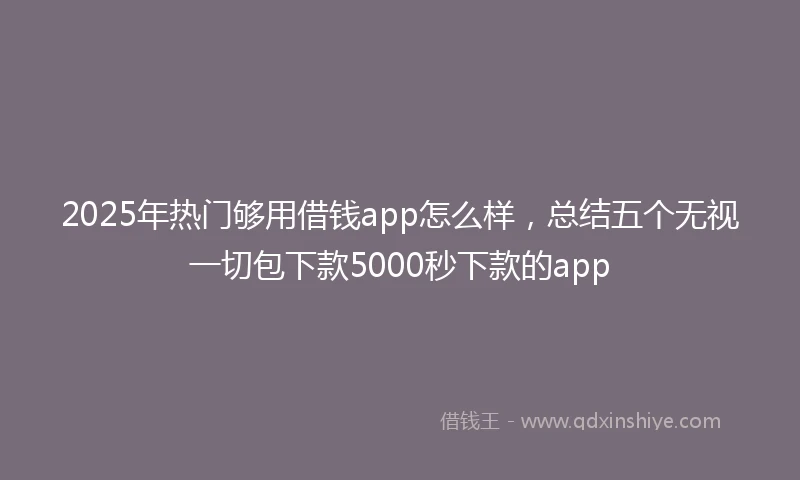 2025年热门够用借钱app怎么样，总结五个无视一切包下款5000秒下款的app