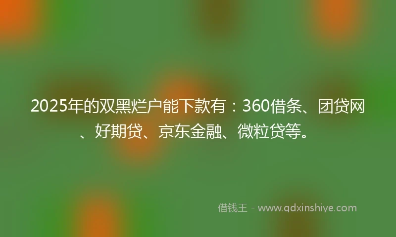 2025年的双黑烂户能下款有：360借条、团贷网、好期贷、京东金融、微粒贷等。