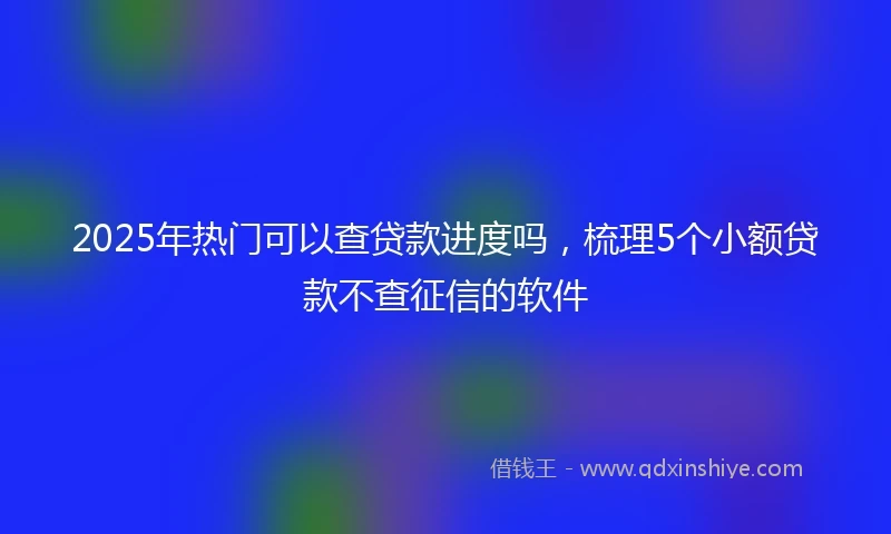 2025年热门可以查贷款进度吗，梳理5个小额贷款不查征信的软件