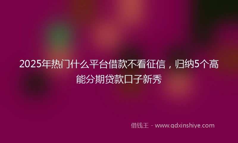2025年热门什么平台借款不看征信，归纳5个高能分期贷款口子新秀
