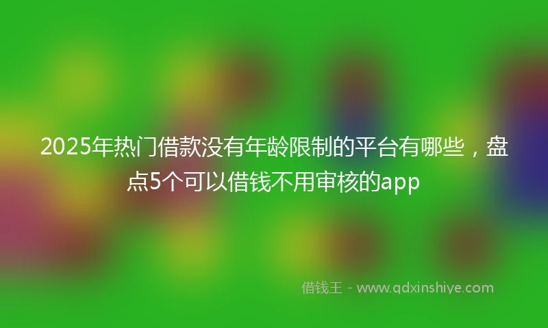 2025年热门借款没有年龄限制的平台有哪些，盘点5个可以借钱不用审核的app