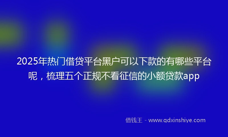 2025年热门借贷平台黑户可以下款的有哪些平台呢，梳理五个正规不看征信的小额贷款app