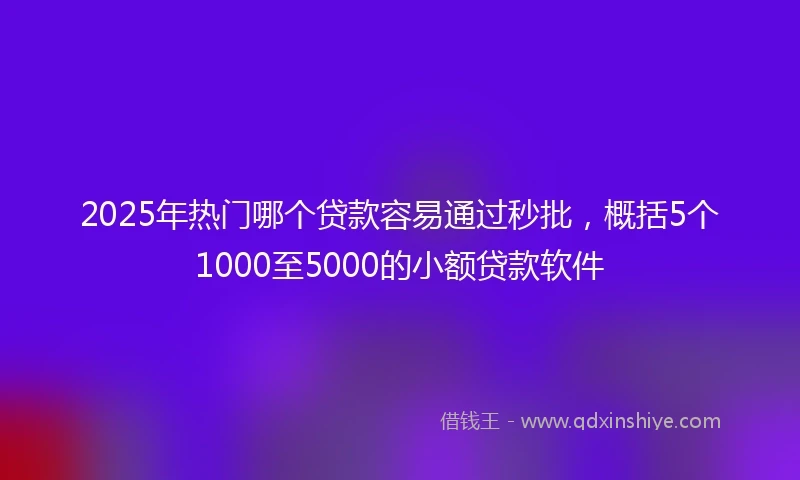 2025年热门哪个贷款容易通过秒批，概括5个1000至5000的小额贷款软件