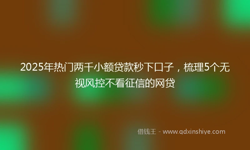 2025年热门两千小额贷款秒下口子，梳理5个无视风控不看征信的网贷
