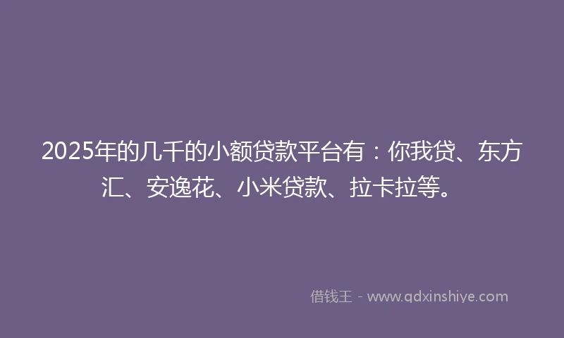 2025年的几千的小额贷款平台有：你我贷、东方汇、安逸花、小米贷款、拉卡拉等。