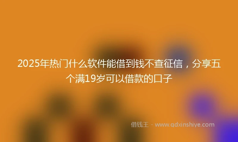 2025年热门什么软件能借到钱不查征信，分享五个满19岁可以借款的口子