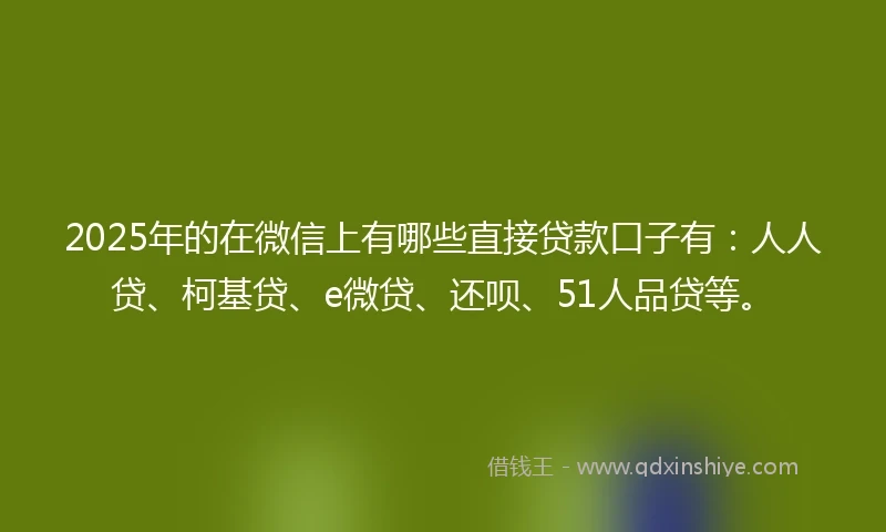 2025年的在微信上有哪些直接贷款口子有：人人贷、柯基贷、e微贷、还呗、51人品贷等。