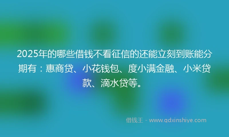 2025年的哪些借钱不看征信的还能立刻到账能分期有:惠商贷、小花钱包、度小满金融、小米贷款、滴水贷等。