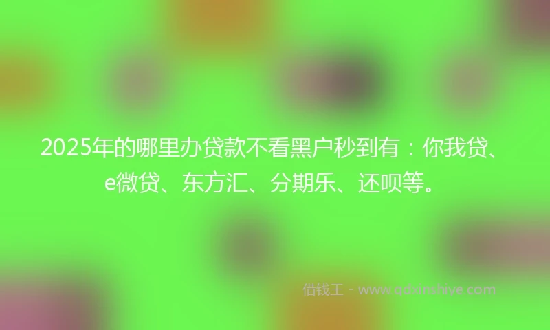 2025年的哪里办贷款不看黑户秒到有：你我贷、e微贷、东方汇、分期乐、还呗等。