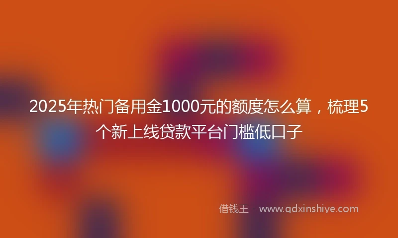 2025年热门备用金1000元的额度怎么算，梳理5个新上线贷款平台门槛低口子