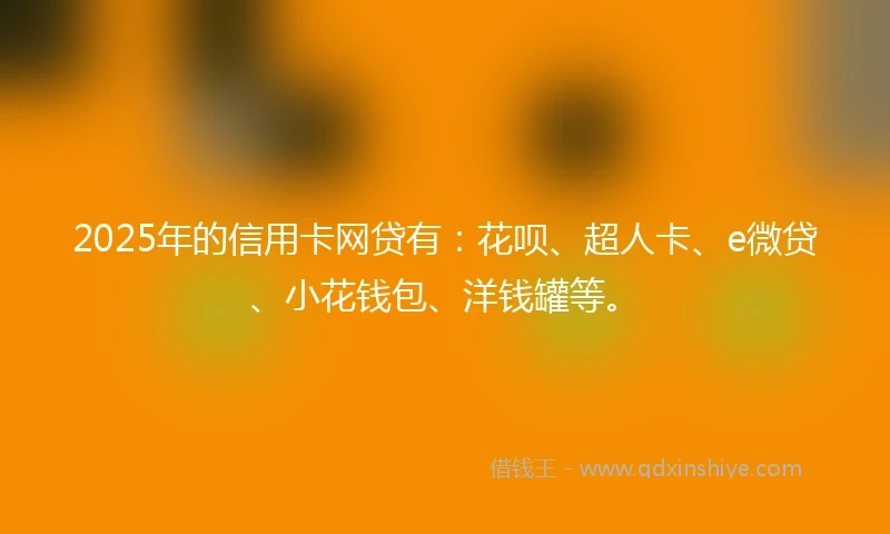 2025年的信用卡网贷有：花呗、超人卡、e微贷、小花钱包、洋钱罐等。