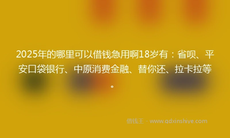 2025年的哪里可以借钱急用啊18岁有:省呗、平安口袋银行、中原消费金融、替你还、拉卡拉等。