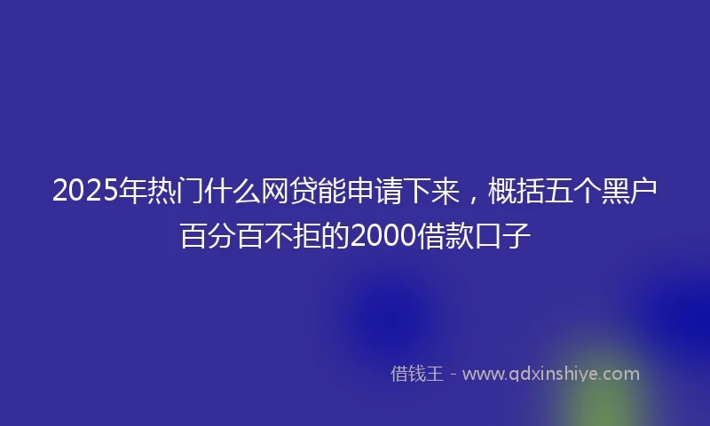 2025年热门什么网贷能申请下来，概括五个黑户百分百不拒的2000借款口子
