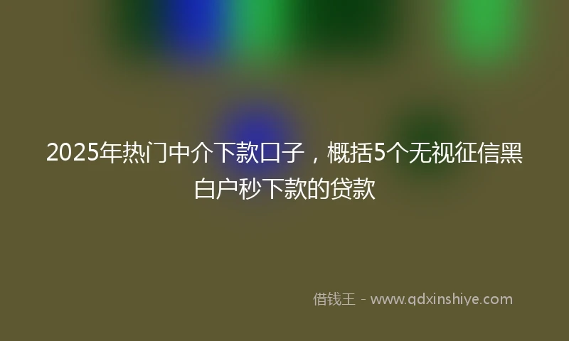 2025年热门中介下款口子，概括5个无视征信黑白户秒下款的贷款