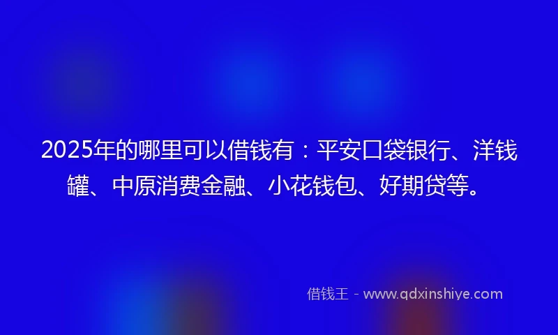 2025年的哪里可以借钱有：平安口袋银行、洋钱罐、中原消费金融、小花钱包、好期贷等。