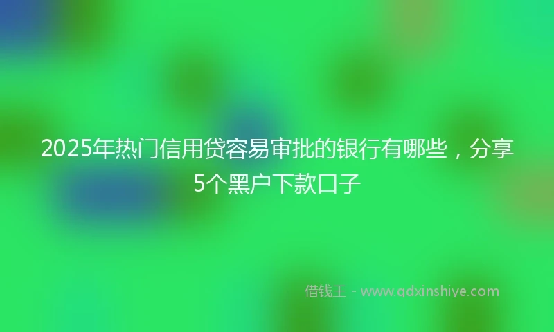 2025年热门信用贷容易审批的银行有哪些,分享5个黑户下款口子