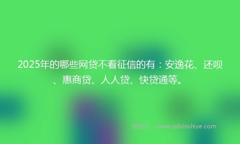 2025年的哪些网贷不看征信的有：安逸花、还呗、惠商贷、人人贷、快贷通等。