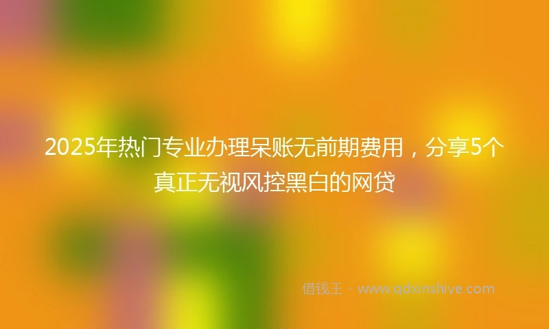 2025年热门专业办理呆账无前期费用，分享5个真正无视风控黑白的网贷