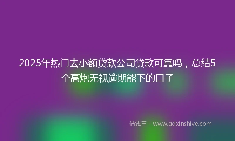 2025年热门去小额贷款公司贷款可靠吗，总结5个高炮无视逾期能下的口子