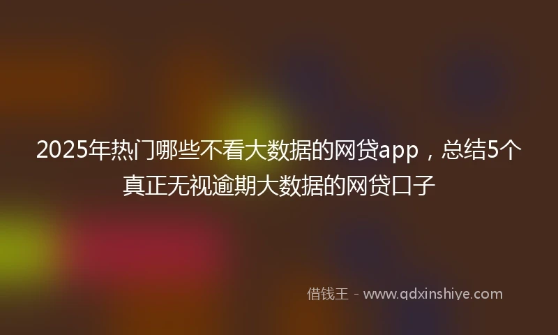 2025年热门哪些不看大数据的网贷app,总结5个真正无视逾期大数据的网贷口子