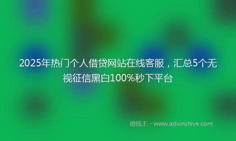 2025年热门个人借贷网站在线客服，汇总5个无视征信黑白100%秒下平台