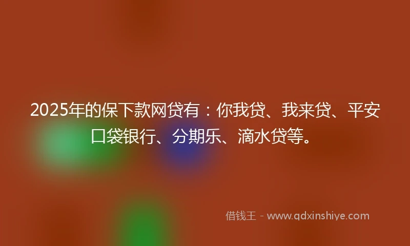 2025年的保下款网贷有：你我贷、我来贷、平安口袋银行、分期乐、滴水贷等。